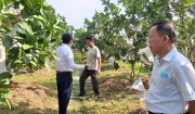 HỘI NÔNG DÂN XÃ HOẰNG TIẾN VỚI PHONG TRÀO CẢI TẠO VƯỜN HỘ, XÂY DỰNG VƯỜN MẪU
